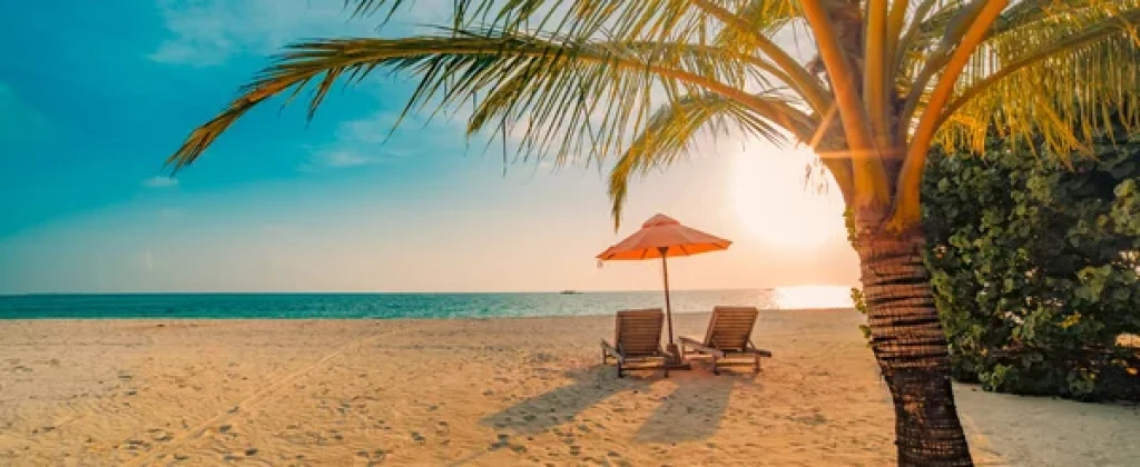 Palm trees and beach at sunset